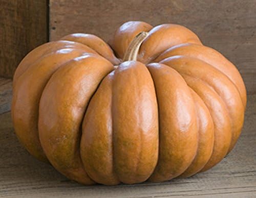 Musque de Provence Pumpkin Seeds - One of The Most Intereting and Decorative Pumpinks as Well as Delicious
