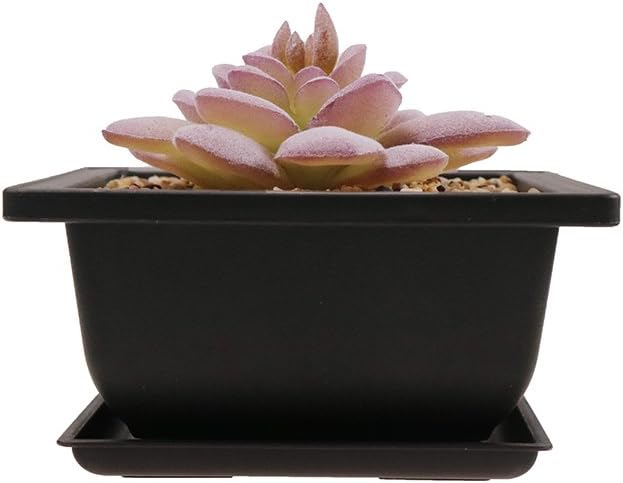 8PCS/Pack Retro Style Square Small Bonsai Training Pots with Tray, Mini Plastic Mocha Garden Flower Pot 4.7"