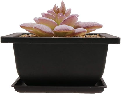 8PCS/Pack Retro Style Square Small Bonsai Training Pots with Tray, Mini Plastic Mocha Garden Flower Pot 4.7"