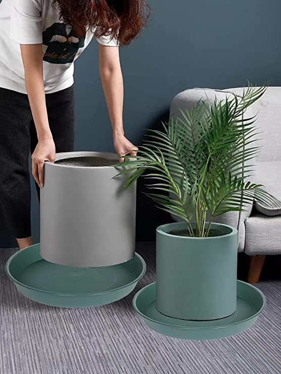 6 Pack of 10 inch Plant Saucer Bird Bath Bowl, Heavy Duty Plastic Plant Saucer 10 inch Round, Durable Plant Tray for Pots, Plant Saucers for Indoors, Plant Trays for Planter (10", Green)