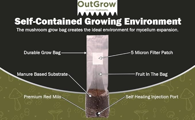 Mini Red Milo All-in-One Mushroom Grow Bag