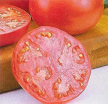 Pink Girl Tomato Seeds