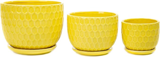 Yellow Ceramic Flower Pots with Saucers, Modern Round Ceramic Succulent Plant Pots with Honeycomb Inspired Texture Design, Small to Medium Sized, Set of 3