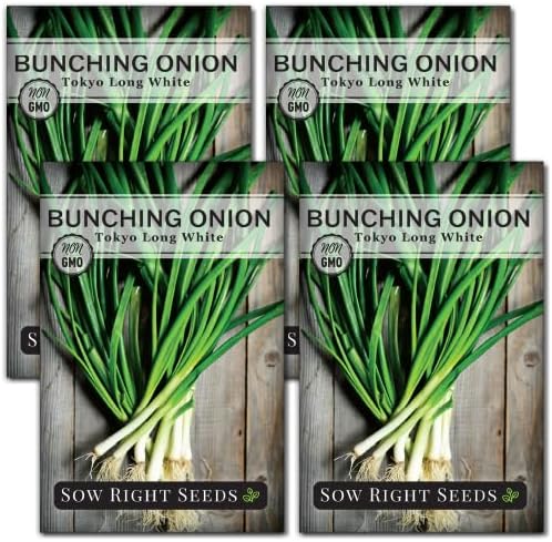 Sow Right Seeds - Tokyo Long White Bunching Onion Seeds for Planting - Perfect for Planting Outdoors or Indoors - Non-GMO Heirloom Green Onions - Easy to Grow for Gardeners - Tasty Flavor (4)