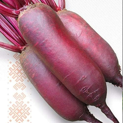 Seeds Beet Long Beetroot Dark Rival Red Non GMO Vegetable for Planting