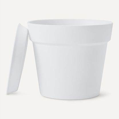 Amazon Basics Plant Pots, 6 inch, White, 1-Pack
