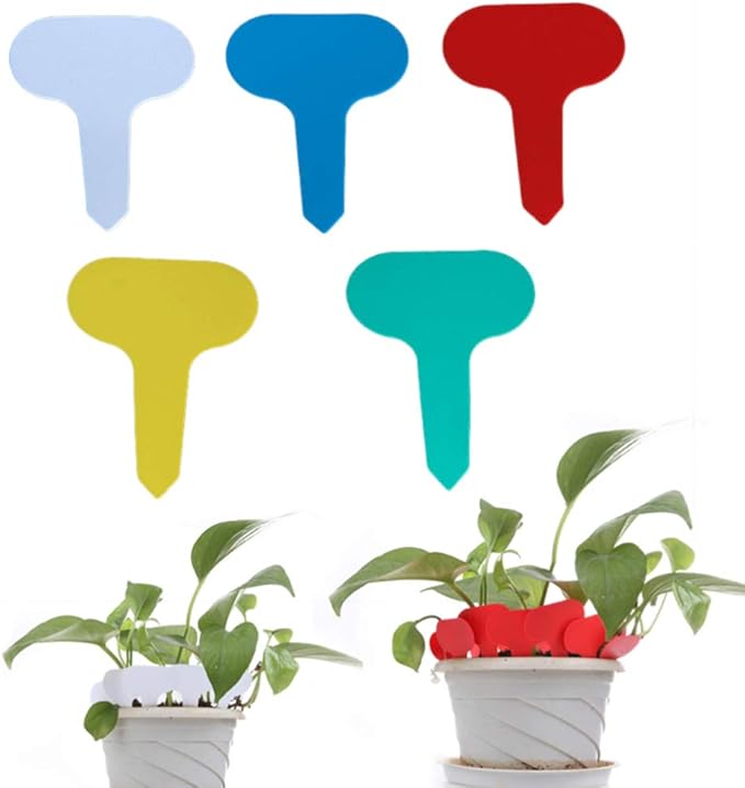 200pcs Plant Marker Flower Label Plant Tags Garden Label Gardening Inserted Card