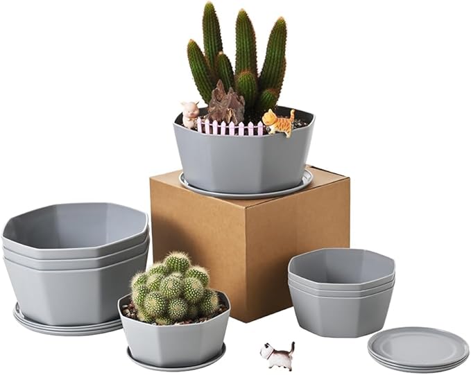 BangQiao 8 Pack 8.00 inch and 5.90 inch Gray Plastic Shallow Plant Pot, Octagon Bowl Planter Container with Pot Tray for Succulents, Cactus