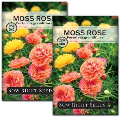 Sow Right Seeds - Moss Rose Seeds for Planting - Portulaca Grandiflora Mix - Double Flower Purslane - Non-GMO Heirloom Variety - Easy to Grow Outdoors - Colorful Annual for Garden & Containers (2)