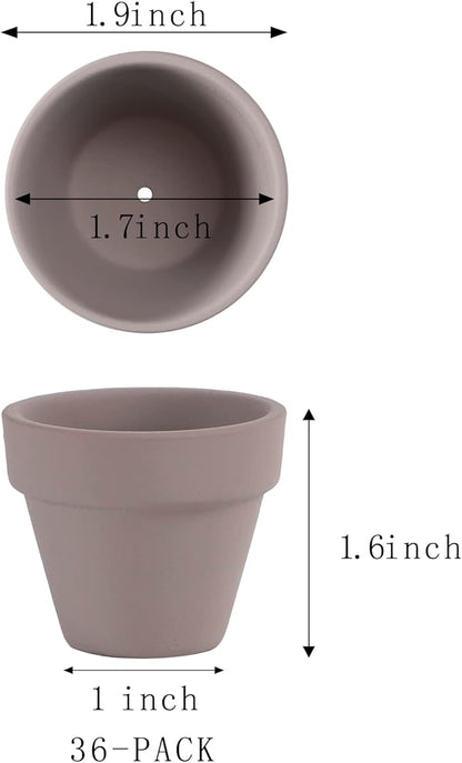 36 Mini Grey Flower Pots - 2 inch Clay, Cactus & Succulent Nursery Pots with Drainage Holes, Indoor/Outdoor Suitable