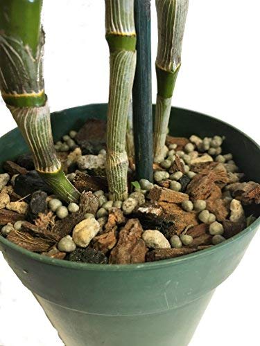 Nutricote 18-6-8 Slow-Release Orchid Fertilizer 15 oz – 180-Day All-Purpose