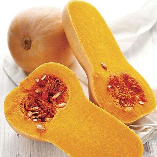 Park Seed Early Butternut Hybrid Winter Squash Seeds – Compact Vine Growth, Sweet Nutty Flavor, Fine-Textured Tan Flesh, AAS Winner 1979, Space-Saving and Long-Storing Variety, Pack of 20