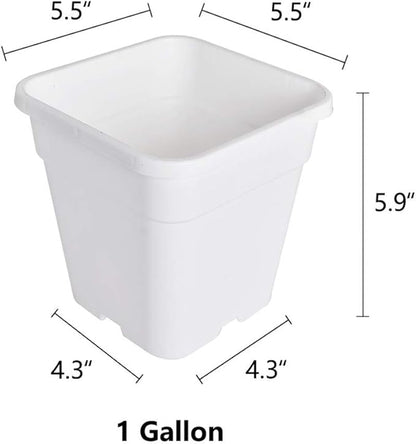 Plant Pots Flower Pot 10-Pack 1 Gallon Planter Nursery Pot Garden Seedling Planters Containers Plastic Injection Molded Pots with Drainage Holes for Outdoor Indoor Plants Vegetables, White