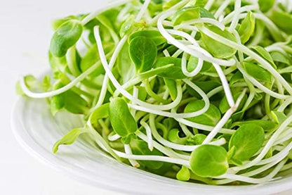 Nature Jims Organic Sunflower Seeds for Sprouting – Non-GMO, Premium Sunflower Microgreen Seeds – Nutritious, Fast Growing Sprouts & Easy to Plant – Ideal for Fresh Salads, Soups, & Smoothies – 8 Oz