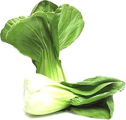 1100 Shanghai Pak Choi, Bok Choy Seeds - Delicious Chinese Vegetable