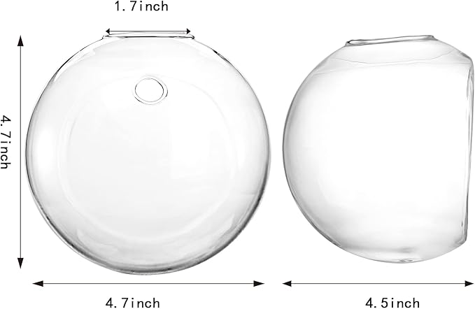 Yarlung 6 Pack Wall Hanging Planters Terrarium, 4.7 Inch Glass Oblate Globe Plants Containers, Wall Mount Clear Flower Vase for Propagating Hydroponics Plants, Air Plants (Plants Not Included)
