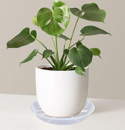 Plant Saucer 4 6 8 10 12 inch, 6 Packs Clear Planter Saucers Pot Trays, Durable Round Plastic Flower Plant Water Drip Tray for Pots, Plant Dish Plate to Catch Water for Indoor & Outdoor ( 6 inch)