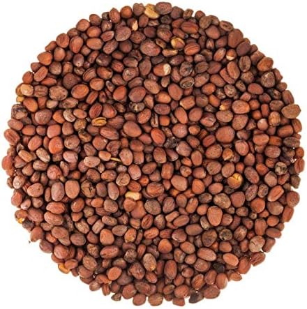 Food to Live - Radish Seeds for Sprouting, 1 Pound Edible Seeds, Pure, Vegan, Kosher, Bulk. Rich in Vitamin C. High Germitation Rate. Grow Sprouts, and Microgreens for Salad, Sandwiches, Rolls.