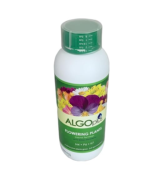 AlgoPlus Rose Liquid Fertilizer - Single