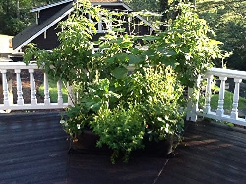 3ft X 3ft Victory 8 EZ-GRO MD SQ Raised Bed AeroFlow Proprietary Fabric Grow Your OWN No Assembly