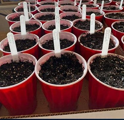 1000 Pcs 6 Inch Plant Markers, White