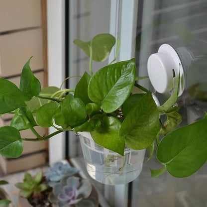 Set of 3 Plastic Window Planter with Suction Cup Holder. Large Window Popagation. Clear Self Watering Window Mounted Plant Pots. Window Sill Planters Extender for Indoor Hydroponic Plants
