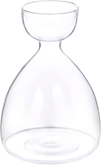 Avocado Seed Sprout Starter Vase Planter Pot Indoor Avocado Tree Growing Vase Kit Glass Garden Seed Starter Planting Vase Clear Avocado Seed Planter Gift for Kids Adult Friends Families