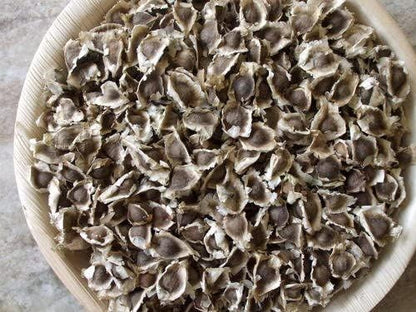 100 Moringa Seeds Approx | Moringa Seeds for Planting | Edible, Excellent Germination | Premium Grade PKM1 | Semillas de Moringaa Seed for Eating | Malunggay