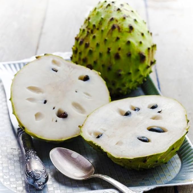 10+ Soursop Fruit Seed for Planting-Non-GMO Heirloom Plant Seeds Garden Outdoor