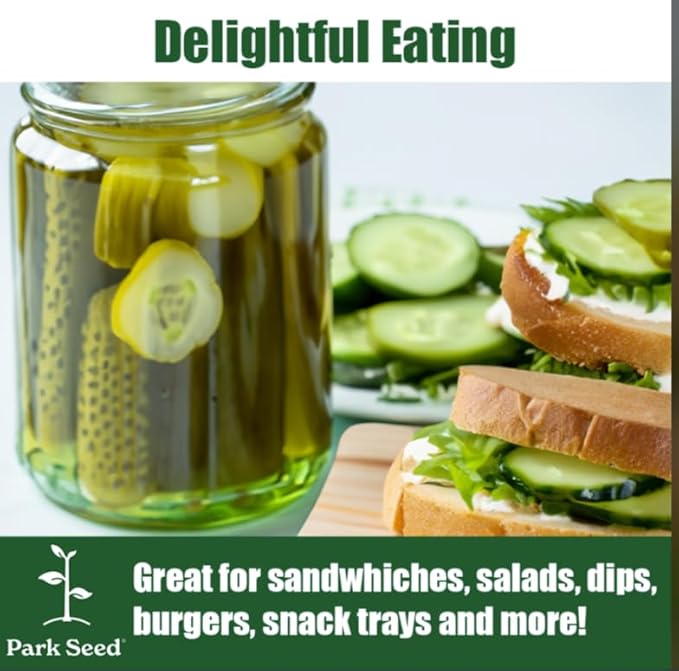 Park Seed Variety of Cucumber Seeds, Planting Cucumbers, Vegetable Seeds, Easy to Grow, Non-GMO, Perfect for Harvesting, Park's Select Slicer Hybrid, Pack of 30