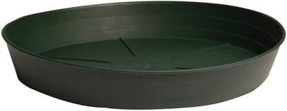 Hydrofarm HGS6P Green Premium, 6", Pack of 25 Saucer, 6"