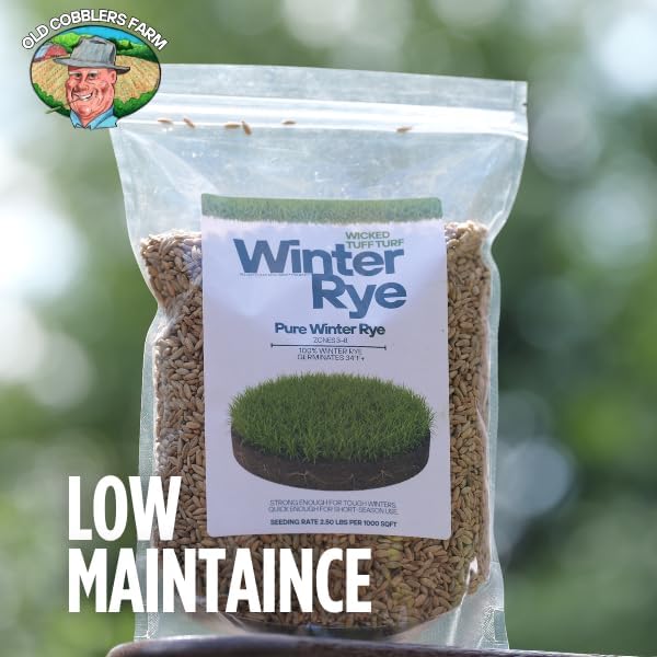 Winter Rye Grass Seed Grass Fall Mix Ryegrass Seeds for Lawn No Till Food Plot Seed Fall Cover Crop Mix by Old Cobblers Farm (5 lbs | 10 lbs | 15 lbs | 20 lbs) (5 lbs)