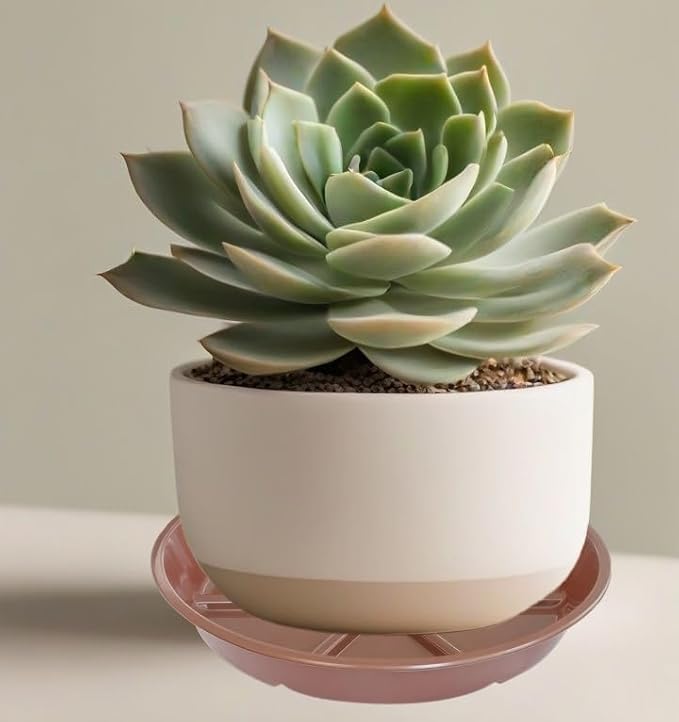 Plant Saucer Pot Tray 8 inch, 6 Packs Flower Planter Saucers, Heavy Drainage Tray for Indoors No Holes, Plastic Plant Saucers Water Catcher for Pots Base, Chocolate