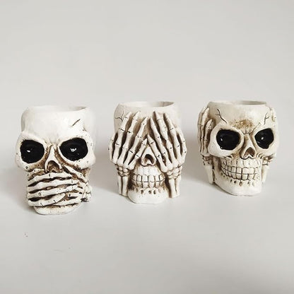 YYW Skull Planter Pot Set of 3 Succulents Pot Halloween Skeleton Sculpture Decor Resin Flowerpot for Home Office Desk Decorations