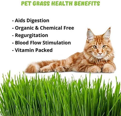Organic Cat Grass Seeds – Non-GMO Hard Red Wheatgrass Seeds for Cats, Dogs, Rabbits – Grows in Cat Grass Kits – 12 oz