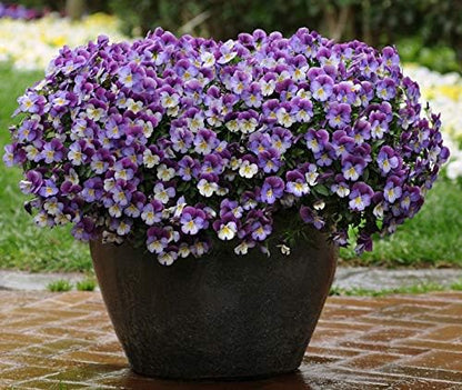 Vacation Water Keeper Pads for Hanging Baskets, Potting and Container Plants, Reduces Plant Watering. Set of 8