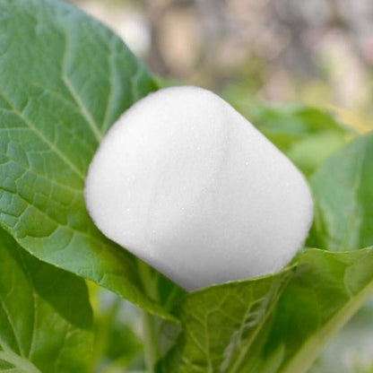 Hydroponic Sponge Planting Soilless Seedling Base Anti-dust Non-toxic Gardening Supplies 50 Pcs