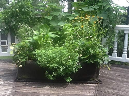 4 ft X 4 ft Victory 8 EZ-GRO Raised Garden Bed Big Square Grow Your OWN No Assembly