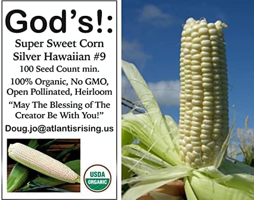 USDA, Organic, Silver, Hawaiian #9, Super, Sweet Corn, Heirloom, Open Pollinated, Non GMO