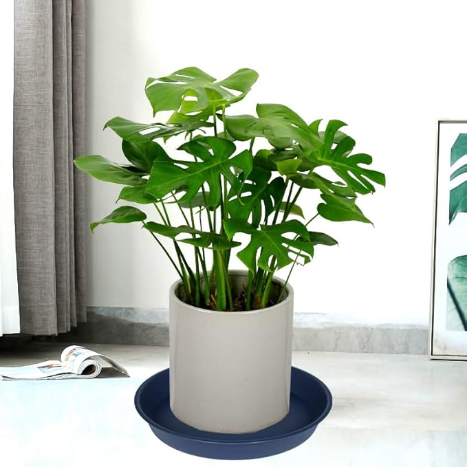 4 Pack of 16 inch Plant Saucer, Heavy Duty Round Plant Trays for Pots, Bird Bath Bowls, Plastic Plant Water Tray, Flower Plant Saucers for Indoors (16", Blue)