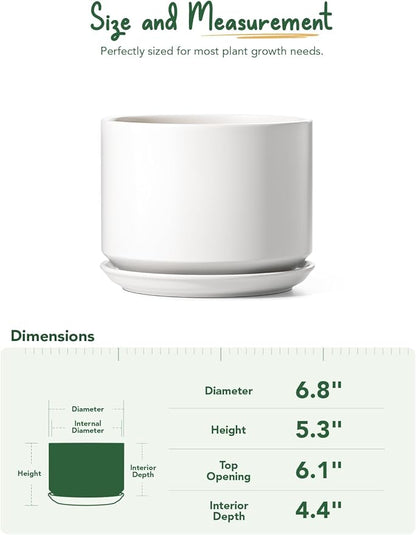 LE TAUCI Ceramic Pots for Plants, 6.8 Inch Plant Pots with Drainage Hole & Saucer, Modern Planter for Indoor Plants, Stable & Durable, Perfect for Living Room or Office Decor, White