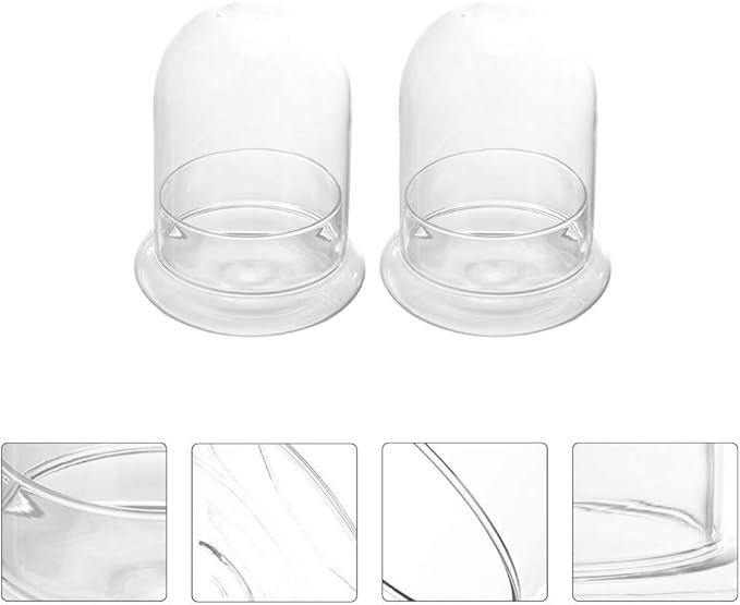 Cabilock 2pcs Clear Glass Bell Jar Cloche Dome Display Centerpiece Decorative Case Tabletop Containers Mini Glass Terrarium Garden Vases for Ferns Succulents Bromeliads