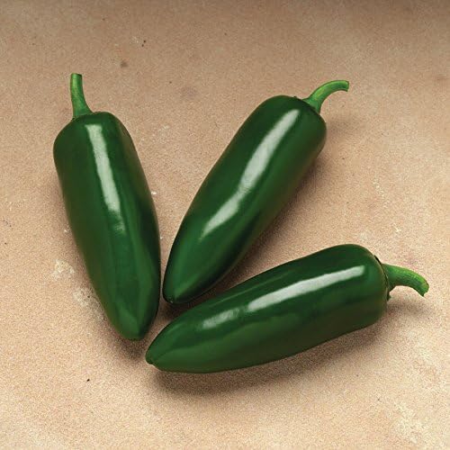 Park Seed Variety of Hot Chili Pepper Plant Seeds, Easy to Grow, Perfect for Spring Garden, Jalafuego Hybrid Jalapeno, Pack of 25