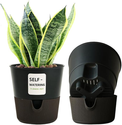 Flower and Plant Pot, Self Watering Plastic Plants Planter with Drainage Holes and Saucers, Modern Outdoor Indoor Decorative Flower Pot for Plants, Flowers, Herbs, Succulents (Grey, 5 inch)