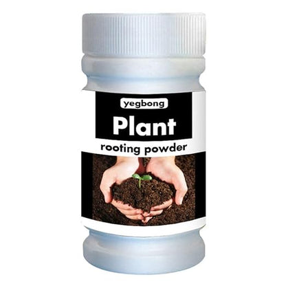 Root Powder, Rooting Powder for Cuttings Root Hormone Root Stimulator Fertilizer and Soil Improver Grow New Plants from Cuttings for Indoor Plants Shrubs Lawn Fruit Vegetables 50g & 100g(100g)
