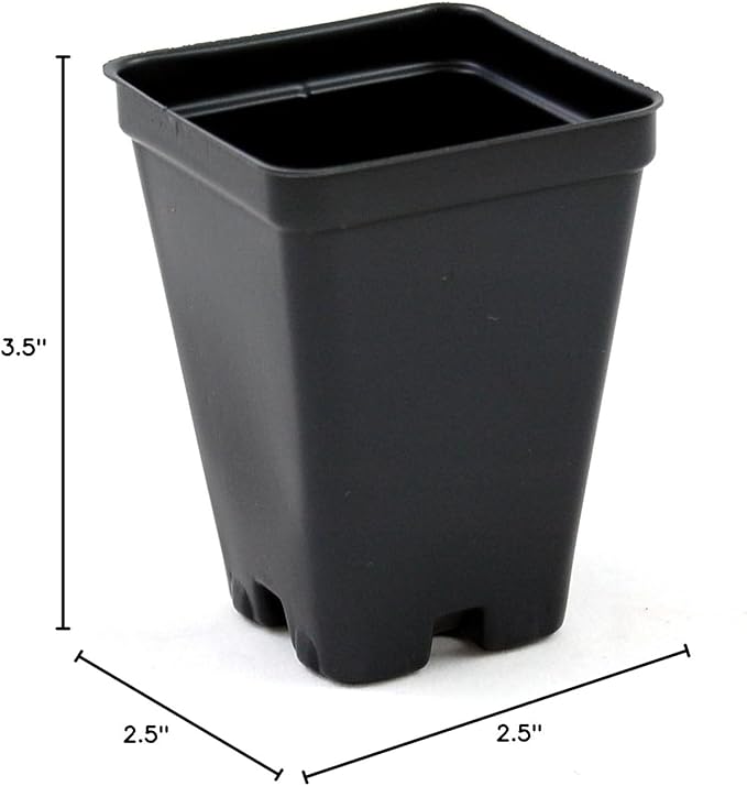 2.5 inch Square Greenhouse Pots - Black - Plastic - Deep - 25 Pack by Growers Solution