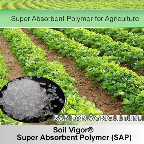Keep Plants Alive Without Water for Up to 2-Weeks (10 Pounds)