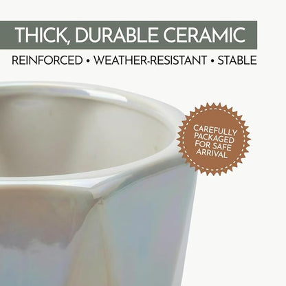 Coco Andrea Ceramic Plant Pots for Indoor Plants with Drainage & Saucers - 5-inch Iridescent White Planters for Houseplants, Succulents & Flowers - Housewarming Gift Set (1-pc, Small)