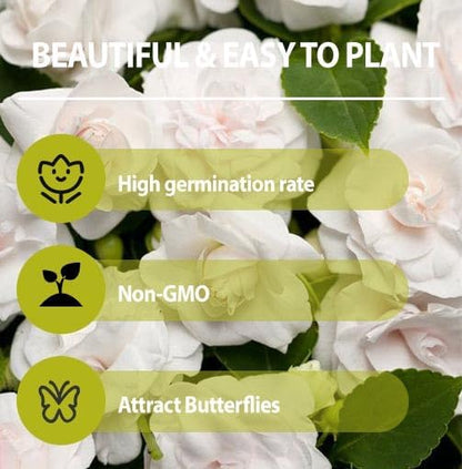 360+ Mixed Impatiens Athena Flower Seeds for Planting -Non-GMO Heirloom Garden Seeds for Planting Flowers