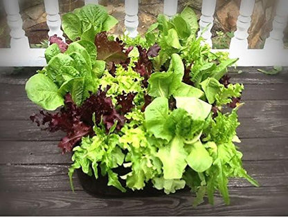 2 ft X 2 ft Victory 8 EZ-GRO Small Square Fabric Raised Bed Garden Green Gardening Raised Bed, AeroFlow Fabric NO Assembly